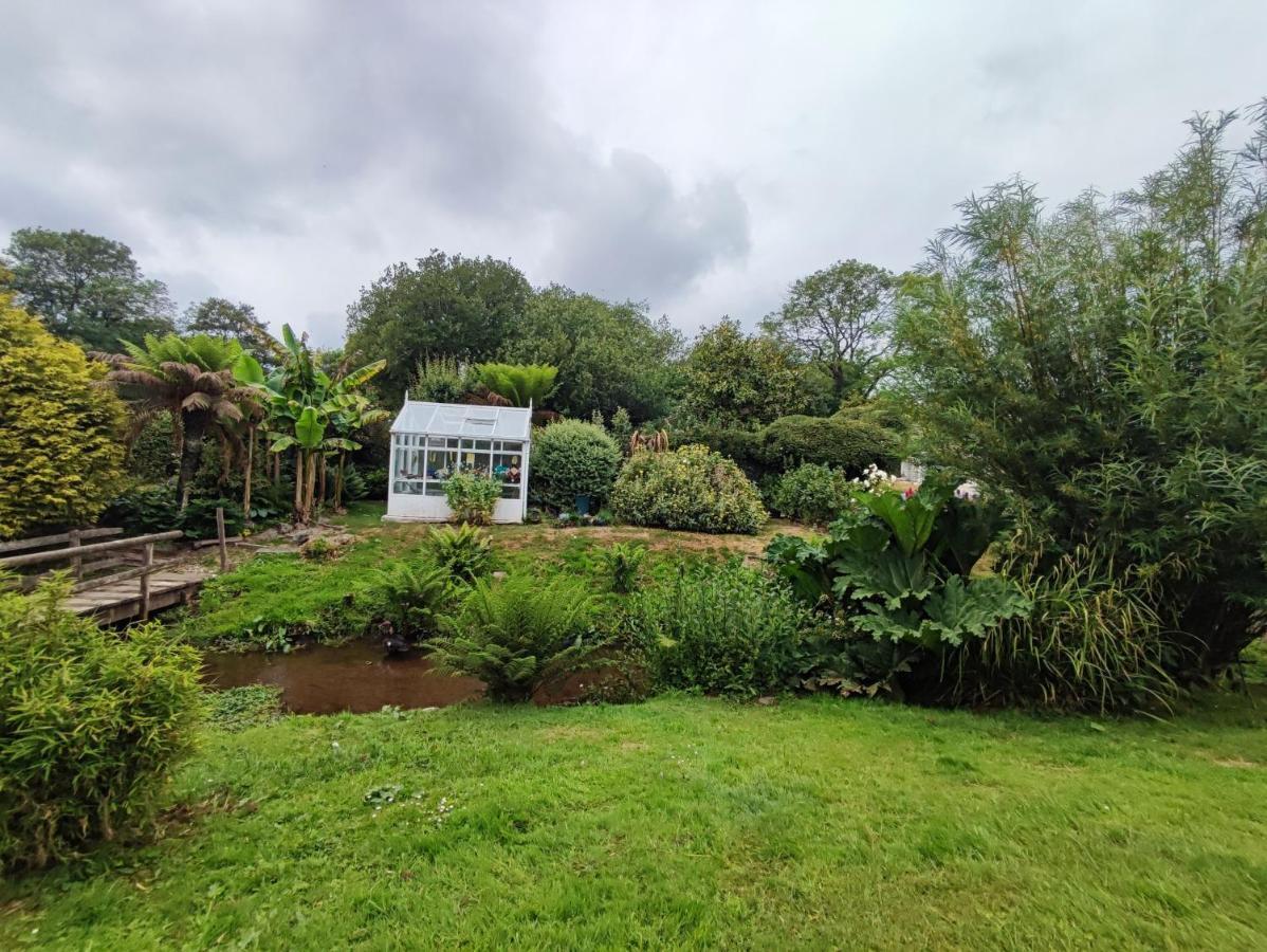Tree Fern Barn Villa St Austell Kültér fotó